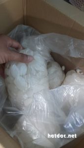 hạt đác hạt đác